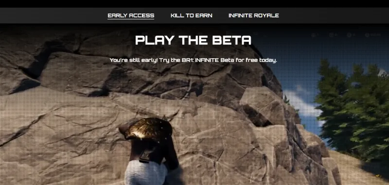 BR1: Infinite Royale website
